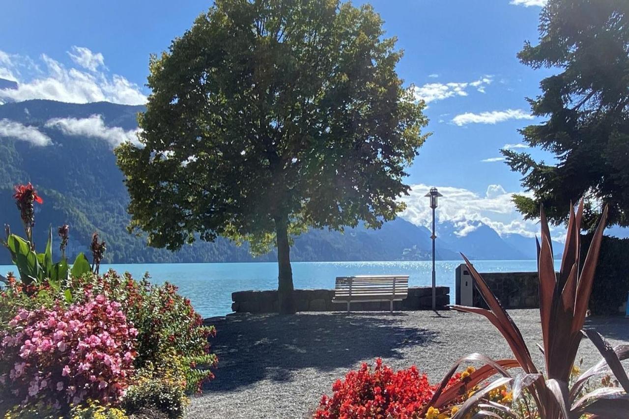 Holiday Apartments Falke Brienz  Ngoại thất bức ảnh